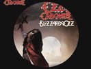 Blizzard Of Ozz - Ozzy Osbourne  Picture Dis (Vinyl Used Very Good) Picture Disc