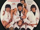 The Beatles BUTCHER COVER PICTURE DISC RP 5452 Paperback Writer and Rain