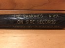 Ramones Sire Records 1976 Incredibly Rare Promo Baseball Bat perfect Condition