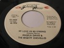 Angela Davis FUNK 45 My Love Is So Strong SOUL Flaming Arrow Mighty Chevelles