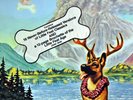 LITTLE FEAT Hoy Hoy  12
