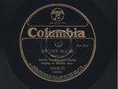 Jazz Blues 78 Columbia 14141 Dixie Washboard Band