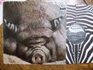 KIN PING MEH No 2 Zebra Original 1972 German Pressing LP - NM Vinyl - RARE