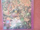 Stone Roses So Young / Tell Me Japanese Bootleg 12