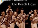 THE BEACH BOYS - GOOD VIBRATIONS 50TH ANNIVERSARY  VINYL LP SINGLE NEW