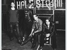 Halestorm ?- Into The Wild Life 2 x LP + CD - SEALED VINYL ALBUM - ROCK RECORD