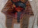 ZZ Top Sleeping Bag Picture Disc King Tut