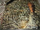 SIOUXIE & THE BANSHEES - SIOUXIE & THE BANSHEES: JUJU - LP -INNER SLEEVE, LYRICS