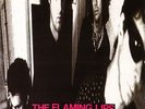 THE FLAMING LIPS / In A Priest Driven Ambulance  (VINYL)