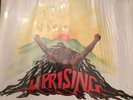 Bob Marley & The Wailers Uprising Vinyl Album LP Tuff Gong Stereo 1980