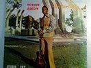 *HORACE ANDY - SKYLARKING/ STUDIO 1 LP/ HEAR
