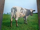 LP PINK FLOYD Atom Heart Mother RARE 2nd GERMANY, EX+/MINT-
