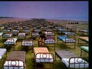 Pink Floyd A Momentary Lapse of Reason 180 GRAM NEW LP (OUT 20 JANUARY)