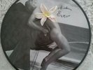 Madonna Erotica Picture Disc LP   Promo Near Mint Pic