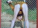 THE CRAMPS   A Date With Elvis 1986 European Tour Programme