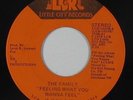 Modern Soul 45 - Family - Feeling What You Wanna Feel - Little City - VG+ mp3