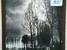 Bintangs - Down South Blues DECCA - PD 12032