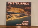 THE TRIFFIDS BORN SANDY DEVOTIONAL EX 1986 UK 1st HOT CLASSIC AUSSIE INDIE POP