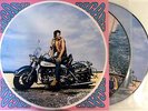 JOHNNY HALLYDAY VINYL 2LP - RICARD - PICTURE DISC