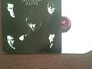 Dead or alive 12