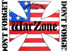 WARZONE - Don't Forget the Struggle, don't Forget the Streets  LP  RED
