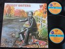 MUDDY WATERS 2LP Chess Blues Masters Series
