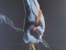 TEAT GAS  tear gas  LP NEU OVP/Sealed
