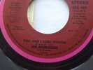 RARE NORTHERN MODERN SOUL Disco / Joe Anderson You and I / Buddah