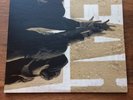 Pearl Jam Ten - LP 180g Vinyl
