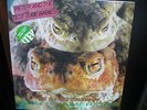 Peter And The Test Tube Babies MATING SOUNDS AMERICAN FROGS - 2015 Colour Vinyl