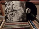 THE BEVIS FROND NEW RIVER HEAD ORIGINAL PRESSING, RARE LP RECORD