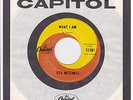 Canada Tough Garage Punk 45 - STU MITCHELL (Wes Dakus) - What I Am / Bo Diddley