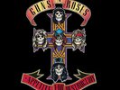 Appetite For Destruction - Guns N' Roses 720642414811 (Vinyl Used Very Good)