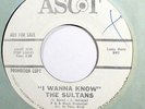 SULTANS-I WANNA KNOW / GLORIA ON ASCOT NORTHERN 45-M- HEAR