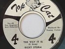 RICKY STORM - THE WAY IT IS - TOP CAT ( WICKED ROOTS 7 )
