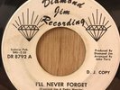 TEMPOS northern soul 45 I'll Never Forget / Disc Jockey Paradise   Diamond Jim