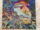 Tim Hollier vinyl LP