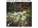 TOLONEN, JUKKA - Summer Games - LP (colour) 1973 Svart