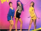 The Flirts - Flirt With The Flirts (2xLP, Comp,  Vinyl Schallplatte - 121246