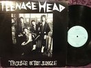 TEENAGE HEAD RAREST LP / CANADIAN PUNK / TROUBLE IN THE JUNGLE / NEAR MINT