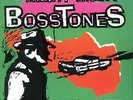 The Mighty Mighty Bosstones Pictures To Prove It ORANGE CLEAR NEAR MINT