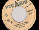 MAYTALS - 54-46 IS MY NUMBER - PYRAMID