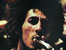 Bob Marley and The Wailers - Catch A Fire (Limited LP) Vinyl LP Island NEW
