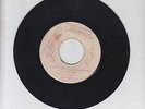 BLANK/ WHAT IS WRONG WITH PRINCE BUSTER  -  MIGHTY VIKINGS (62 SKA 7