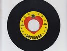 ORTHODOX/ KILL THE DEVIL  -  TWELVE TRIBES OF ISRAEL (73 REGGAE ROOTS 7