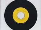 BLANK(MOUNT ZION)/ NEW LAND  -  RAS LAURA & SONS OF NEGUS (69 RASTA CHANT 7