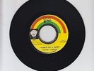 ITAL/ CHILD OF KING  -  DAVID JAHSON  (74 REGGAE ROOTS 7