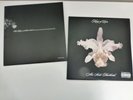 Kings Of Leon Aha Shake Heartbreak 2 x 10
