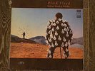 Vinil PINK FLOYD - Delicate sound of Thunder