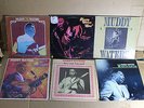 Muddy Waters 6 Blues Records LP Vintage King Bee Rare Unissued In Your Ear